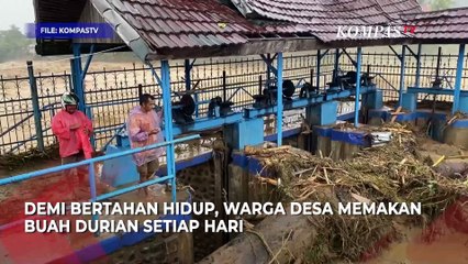 Warga Desa di Tapanuli Tengah Terisolir, Masinton: Bertahan Hidup dengan Makan Durian
