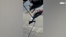 Roba motocicleta en Villa Elisa y muere tras atropellar a una vendedora ambulante en Capiatá