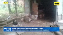 Influenza aviar: Senacsa levantó barreras sanitarias