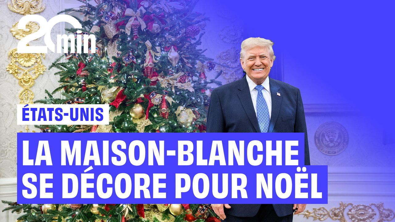 Portrait en Lego, sapins XXL… Les images des décorations de Noël de la Maison-Blanche