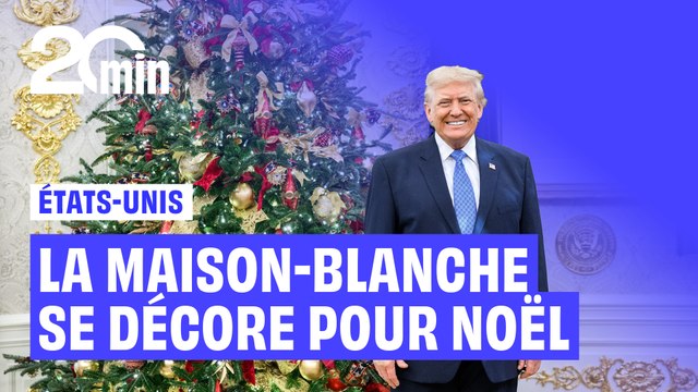 Portrait en Lego, sapins XXL… Les images des décorations de Noël de la Maison-Blanche