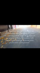 Árboles frutales al costado de las calles son un peligro, según biólogo