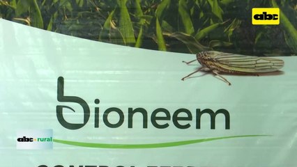 Video: El Bioneem sus beneficios para el algodón y otros cultivos