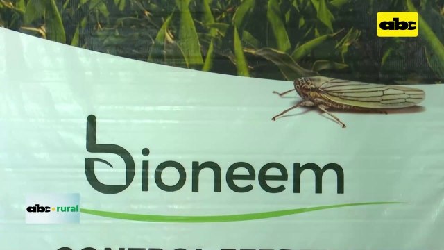 Video: El Bioneem sus beneficios para el algodón y otros cultivos