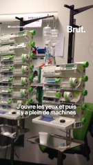 Rencontre avec un miraculé, victime d'une électrocution de 15 000 volts.