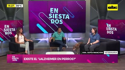 Video: Existe el “¿alzhéimer en perros?