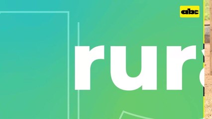 Video: Nutrición de ganado en el Chaco en época de lluvia