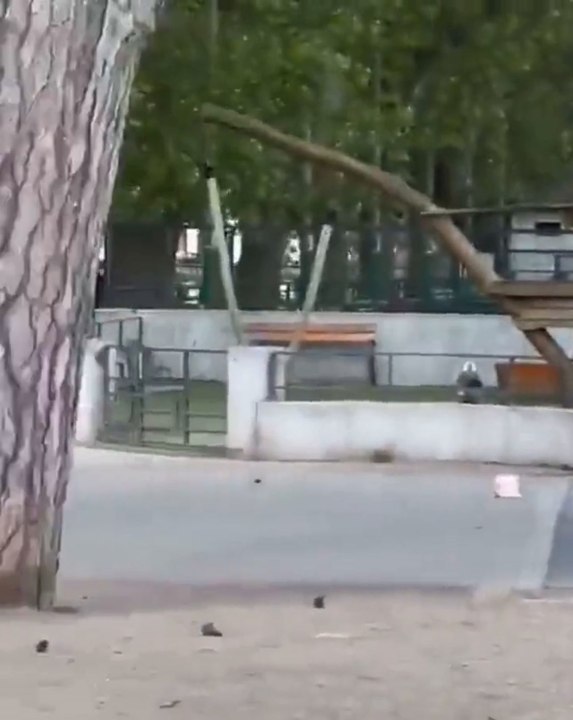 Seis heridos, cinco de ellos muy graves, en un ataque contra niños que conmociona Francia