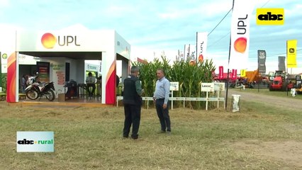 Video: Control de plagas y enfermedades en cultivos del Chaco