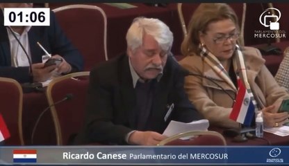 A Los Gritos En úLtima Sesión Del Parlasur Entre Cartistas Y Ricardo Canese