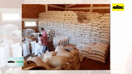 Video: Clave del éxito de la Asociación de Productores Santa Teresa