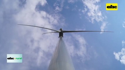 Video: 70 % de gases de efecto invernadero son de las ciudades