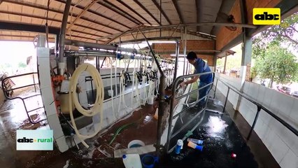 Video: Preparan Encuentro Panamericano de Jóvenes Lecheros