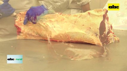 Video: Confirman habilitación de Canadá para la carne paraguaya