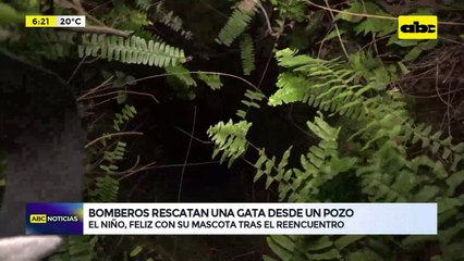 Video: Bomberos rescatan una gata desde un pozo