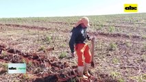 Video: Impacto positivo que tendrá la fábrica celulosa Paracel en Paraguay