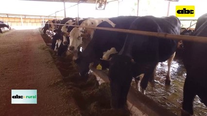 Video: Raspador de pisos en galpones lecheros