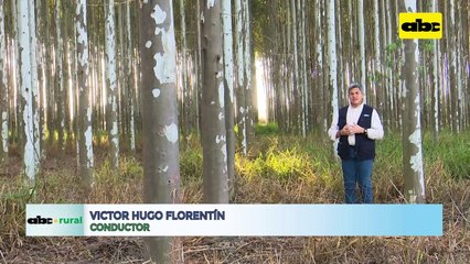 Video: Ganadero debe ver a la agricultura como su aliada