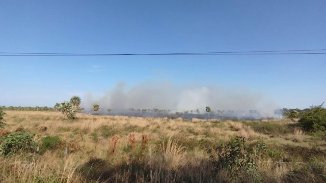 Incendio forestal en en zona Luque - San Bernardino