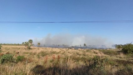 Incendio forestal en en zona Luque - San Bernardino