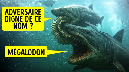 On A Découvert Une Créature Capable De Déchiqueter Un Mégalodon
