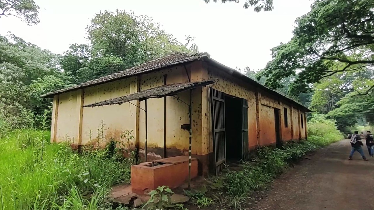 A CASA DA FLORESTA ONDE DIZEM APARECER UMA MULHER SEM ROSTO