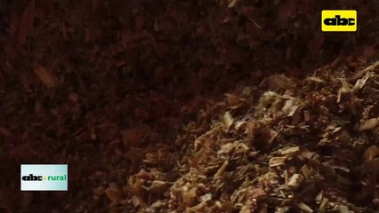 Video: Microorganismos eficientes y sus diversos usos