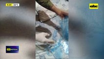 Video: En bodega y lavadero de autos venden drogas
