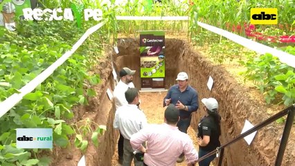 Video: Polímero que retiene humedad en el suelo y lo libera a las plantas