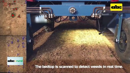 Video: Equipo con inteligencia artificial elimina malezas con rayos láser