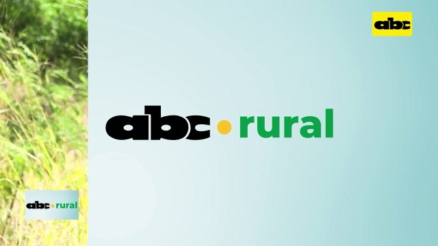 Video: Combinación de químicos y biológicos para control de plagas y enfermedades