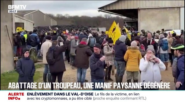 Dermatose: des heurts entre forces de l'ordre et manifestants venus s'opposer à l'abattage de 83 vaches dans une ferme du Doubs
