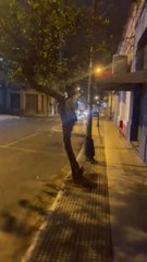 Así un tortolero atacó vehículo en pleno microcentro de Asu