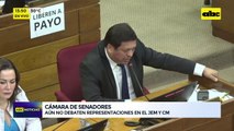 Cámara de Senadores: Aún no debaten representaciones en el JEM y CM