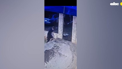 Ataque homofóbico a Casa Diversa