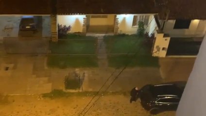 Vecino Rompe Autos Atacó Una Camioneta De La Marca Porsche Estacionada Frente A Su Vivienda