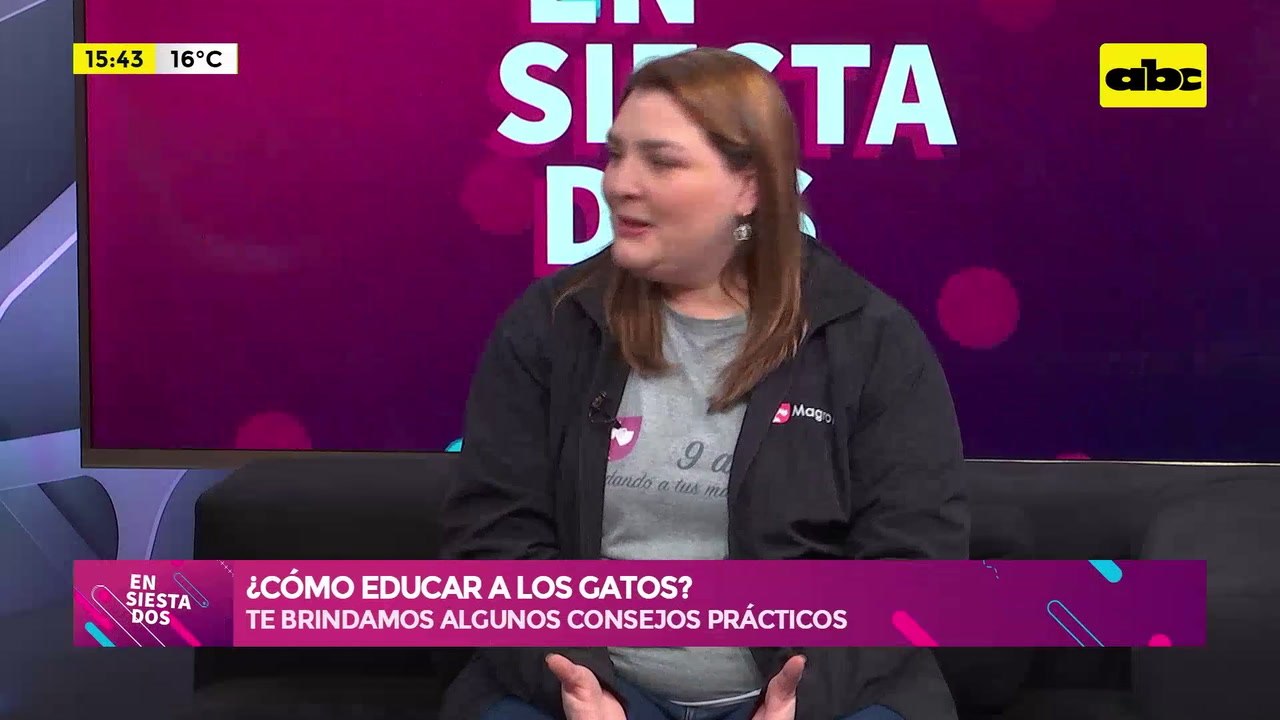 Video: ¿Cómo educar a los gatos?