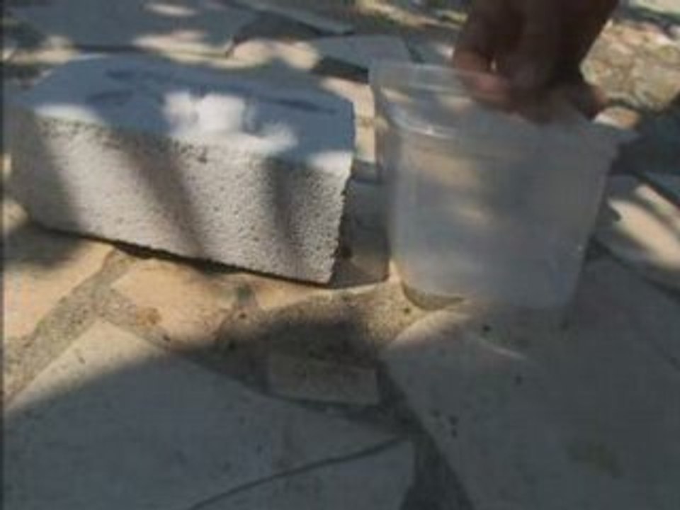 construction d'un nid 2 [élevage de fourmis]