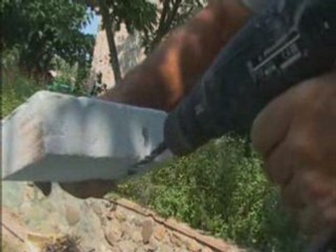 construction d'un nid 1 [élevage de fourmis]