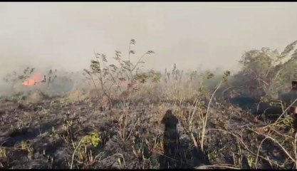 Video Del Incendio Al Costado De La Ruta Luque San Bernardino