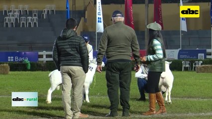 Video: Jurado de la raza Texel destaca virtudes y que se debe mejorar