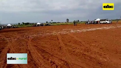 Video: hablaron sobre tratamiento de semillas de mandioca