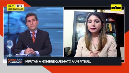 Video: Imputan al hombre que mató a puñaladas a pitbull en Capiatá