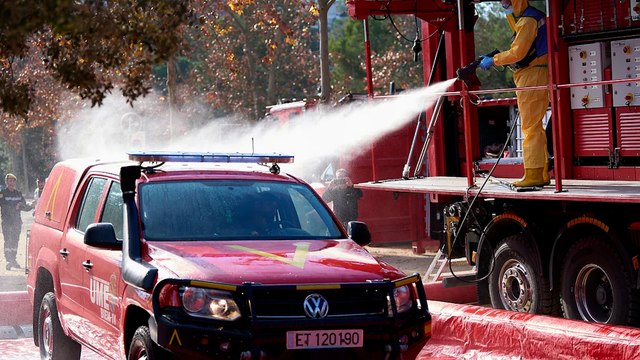 Un amplio despliegue de 400 efectivos vigilan la zona cero de la peste porcina en Cataluña