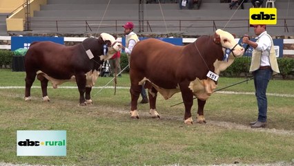 Video: Nutrición para animales de cabaña