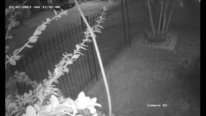 dos jóvenes fueron heridos tras disparos