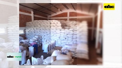 Video: De enero a junio de 2023 sésamo ya ingreso US$ 31 millones