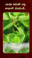 0b521e45875d42f5a3ad3db8ebe60369