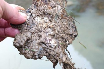 Trozo de chapa del coche encontrado en Berbes