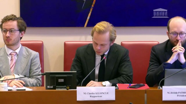 L'incroyable aveu de la Présidente du comité d’éthique de France Télé, qui reconnait n'avoir aucune utilité : Qu'est ce qu'on peut faire en réalité ? Nous sommes 4 et nous n'avons pas de moyen...